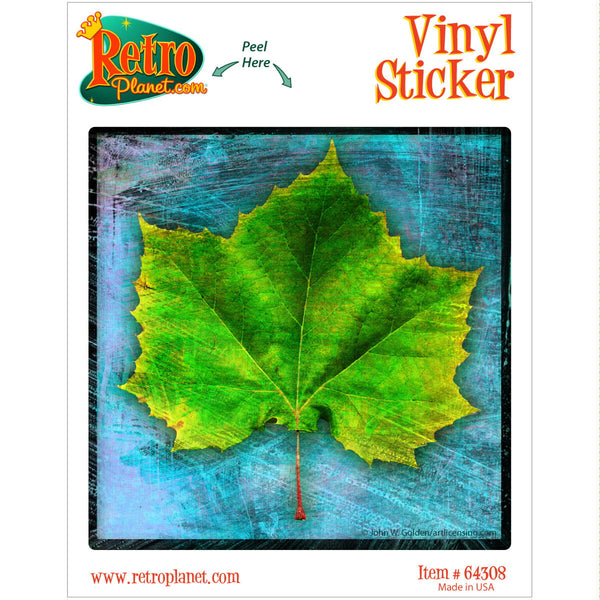 American Sycamore Tree Leaf Vinyl Sticker