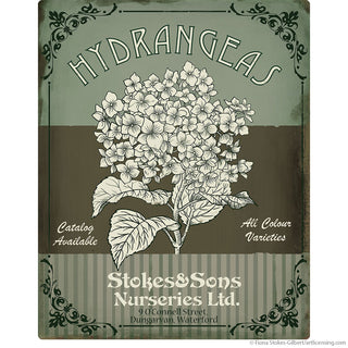 Hydrangeas Flower Shop Ad Wall Decal