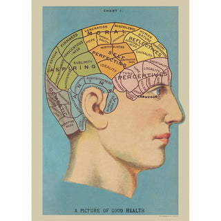 Phrenology Head Brain Chart Vintage Style Poster
