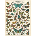 French Butterfly Chart Papillons Vintage Style Poster