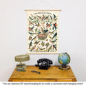French Small Birds Chart Vintage Style Poster