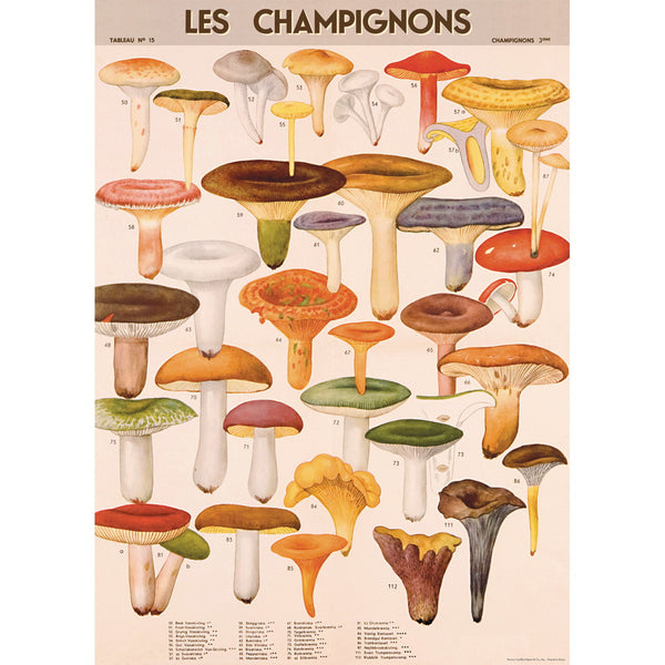 French Mushrooms Chart Vintage Style Poster