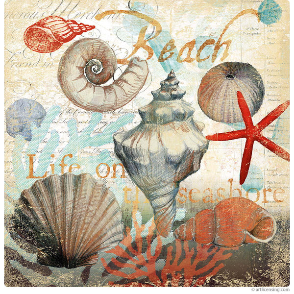 Shell Collector Beach Collage Wall Decal