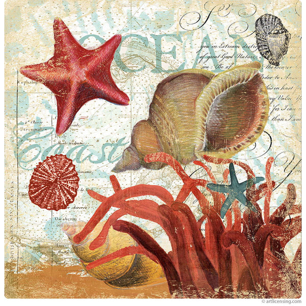 Shell Collector Ocean Collage Wall Decal