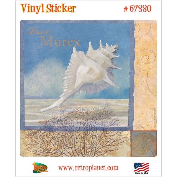 Lace Murex Seashell Ocean Beauties Vinyl Sticker
