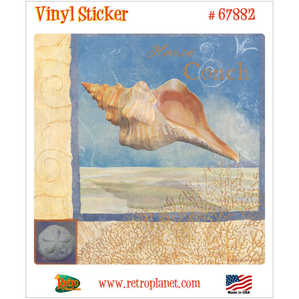 Horse Conch Shell Ocean Beauties Vinyl Sticker