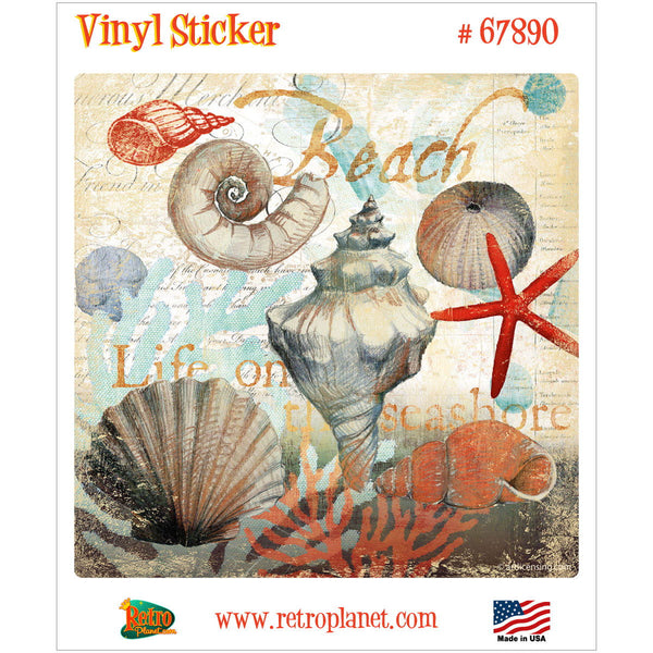 Shell Collector Beach Collage Vinyl Sticker