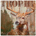 Deer Trophy Hunting Open Season Vinyl Sticker
