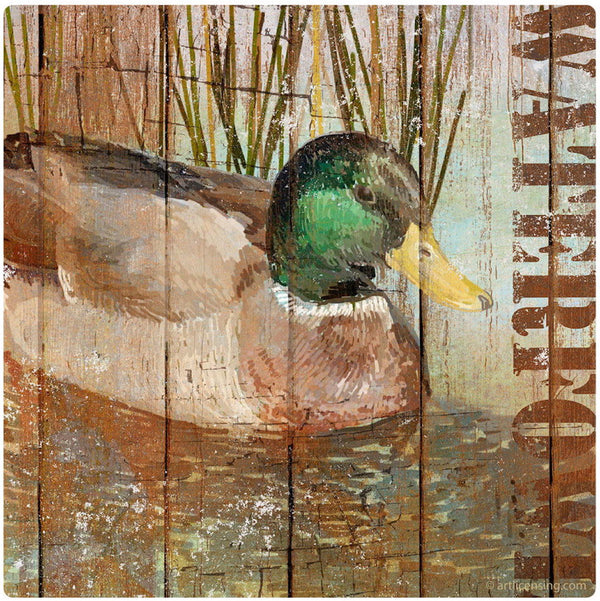 Mallard Duck Hunting Open Season Vinyl Sticker