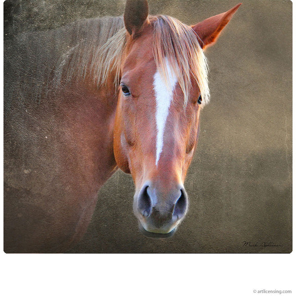 Majestic Brown Horse Wall Decal