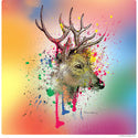 Deer Head Graffiti Pop Art Wall Decal