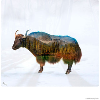 Yak Autumn Wildlife Silhouette Wall Decal