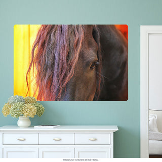 Horse Eye Majestic Sunset Wall Decal