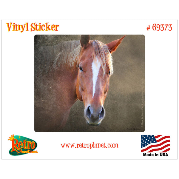 Majestic Horse Brown Leather Vinyl Sticker