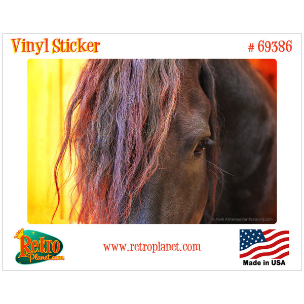 Horse Eye Majestic Sunset Vinyl Sticker