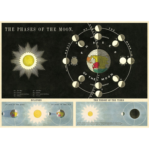 Phases of the Moon Science Vintage Style Poster